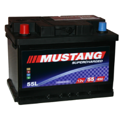 Slika AKUMULATOR 12V 55Ah L+ MUSTANG:)