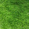 TRAVA VEŠTAČKA 2m ZELENA AMAZONIA 6960 - 3
