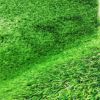 TRAVA VEŠTAČKA 2m ZELENA AMAZONIA 6960 - 4