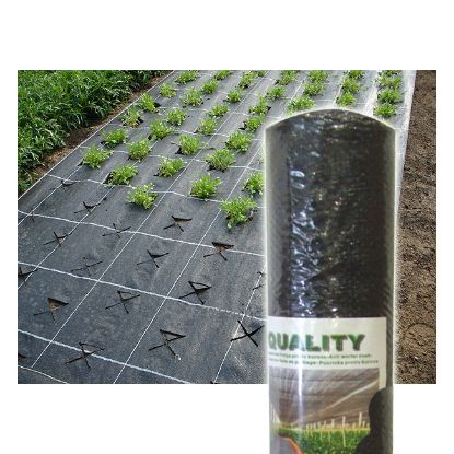 Slika FOLIJA  POLJOPRIV. 10X1M:)
