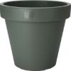 SAKSIJA OKRUGLA ZELENA 50CM KOOPMAN - 1