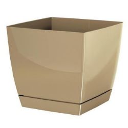 SAKSIJA COUBI 21CM BELA KAFA