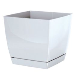 SAKSIJA COUBI 15,5CM BELA