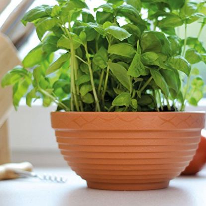 SAKSIJA OVALNA MISA 15CM TERACOTA