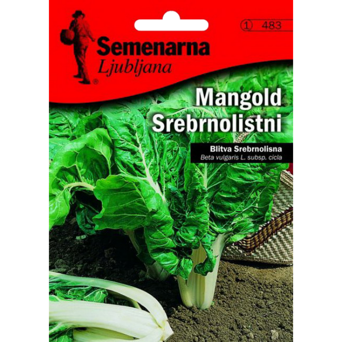 BLITVA SREBRNOLISNA 4 GR