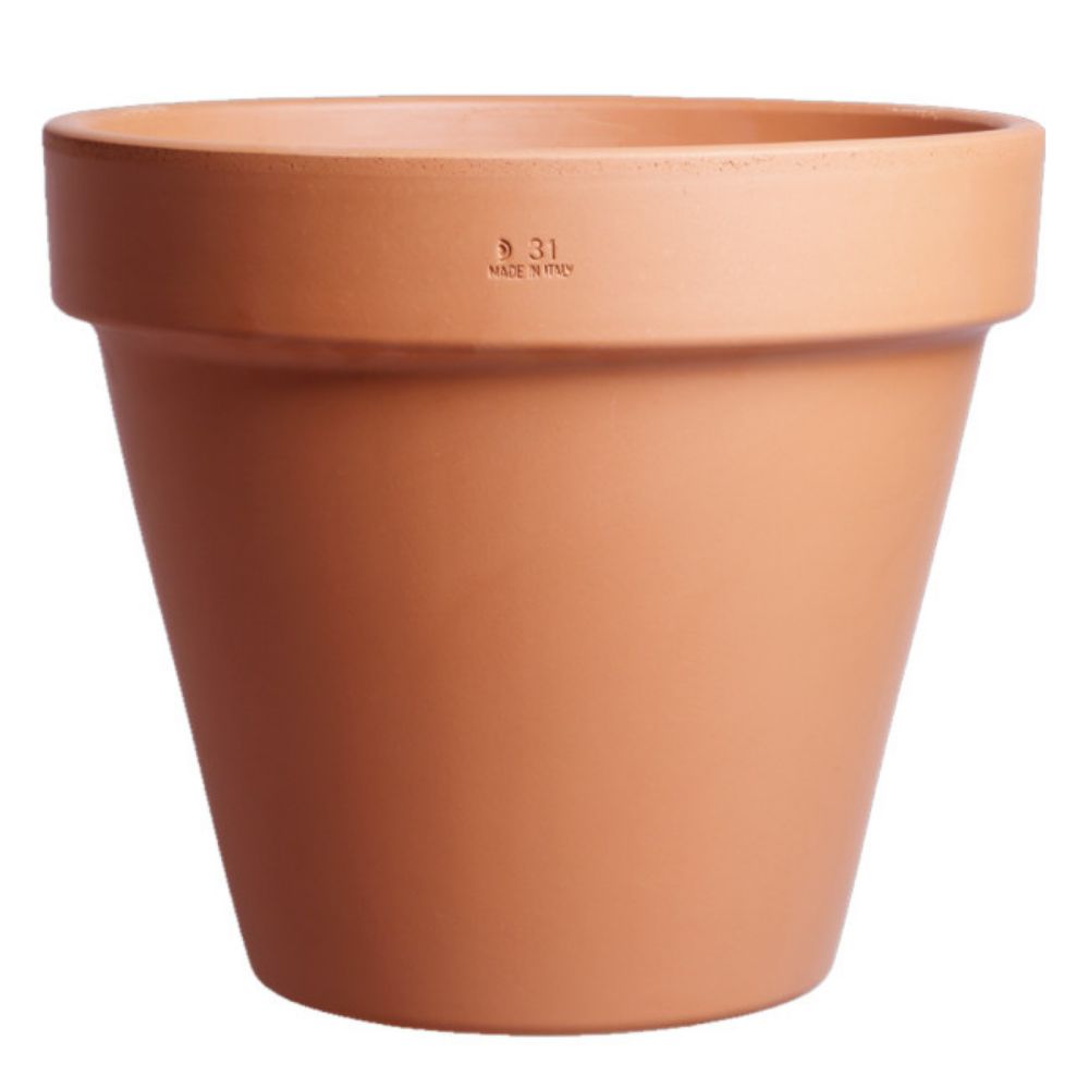 SAKSIJA STANDARDNA 31cm