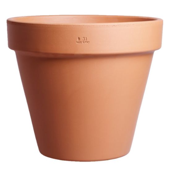SAKSIJA STANDARDNA 31cm