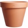 SAKSIJA STANDARDNA 35cm - 1