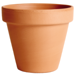 SAKSIJA STANDARDNA 39cm