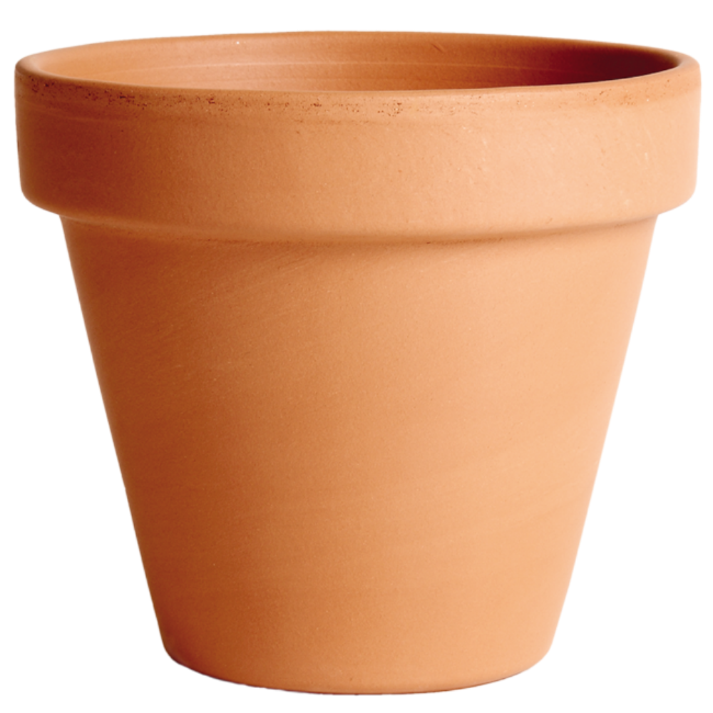 SAKSIJA STANDARDNA 43cm