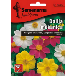 DALIJA MINI-MEŠAVINA 0,8 GR