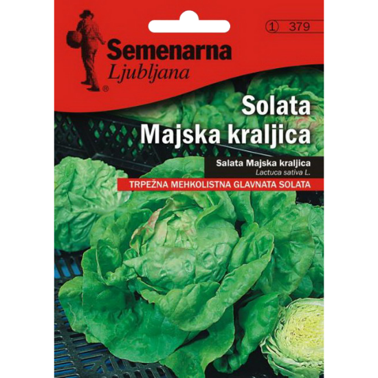 SALATA MAJSKA KRALJICA 2 GR
