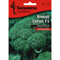 BROKOLI CORVET F1 0,9 GR
