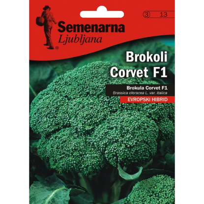 BROKOLI CORVET F1 0,9 GR