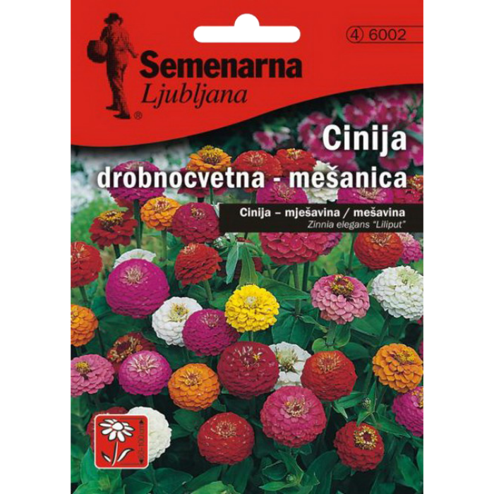 CINIJA ELEGANS NISKA MIX 1,5 GR