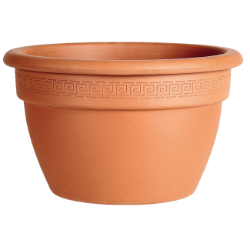 SAKSIJA ZVONASTA PLITKA  32cm
