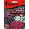 VERBENA MIX 0,3 GR - 1