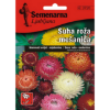 SUVA RUŽA MIX 3720 - 1