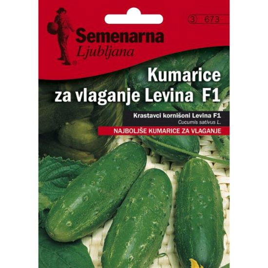KRASTAVCI KORNIŠONI LEVINA F1 1 GR