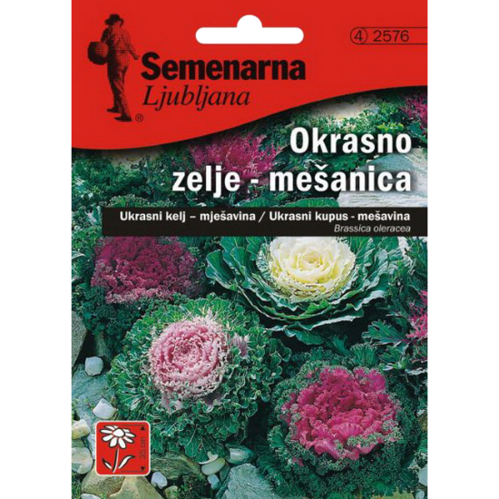 KUPUS UKRASNI MIX 2576