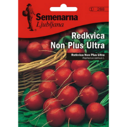 ROTKVICA NON PLUS ULTRA 4 GR