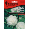 KARFIOL SNEŽNA KEPA 1,5 GR - 1