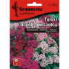 KARANFIL TURSKI MIX 0,5 GR - 1