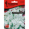 ŠLAJER JEDNOGODISNJI BELI 0,5 GR - 1
