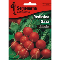 ROTKVICA SAKSA 4 GR