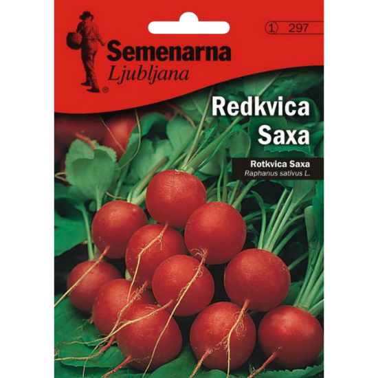 ROTKVICA SAKSA 4 GR