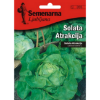 SALATA ATRAKCIJA 2,5 GR - 1