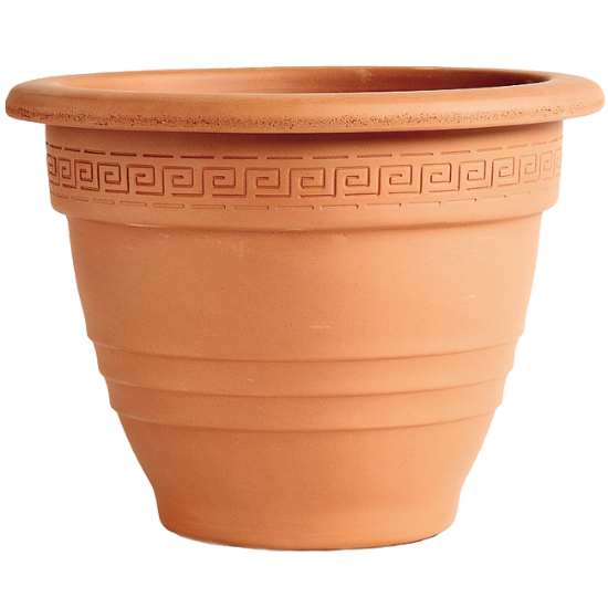 SAKSIJA ZVONASTA 32cm