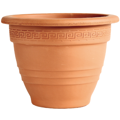 SAKSIJA ZVONASTA 27cm