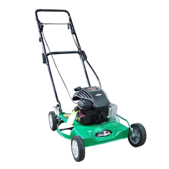 KOSAČICA MOTORNA B&S , 4,0KS 51CM + KORPA PT