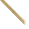LAJSNA BALZA HOBI 100cm 10X20mm - 1