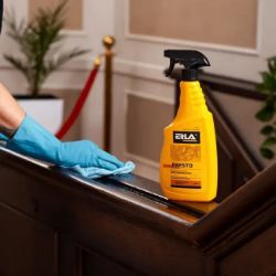 SREDSTVO ZA ČIŠĆENJE DRVENIH POVRŠINA 750ML ERLA