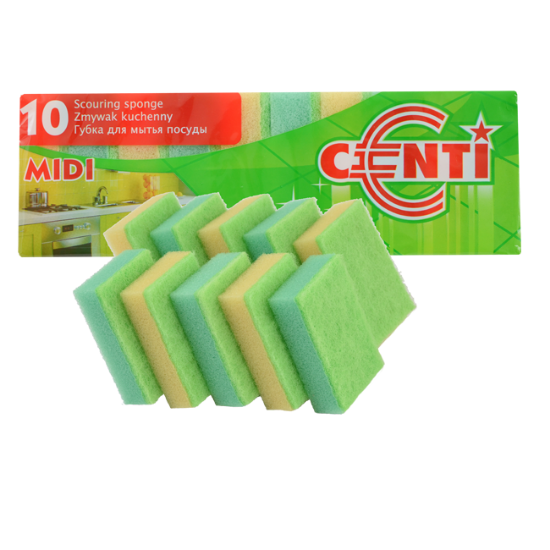 CENTI SUNĐER ZA POSUĐE sa abrazivom 10/1  80x50x25 mm