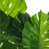 DEKORATIVNA BILJKA MONSTERA 110 CM - 3