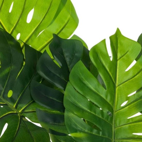 DEKORATIVNA BILJKA MONSTERA 110 CM
