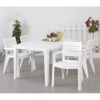 STOLICA IBIZA PVC 62X62X83 BELA - 2