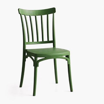 STOLICA ALBA ZELENA