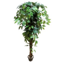 STABLO BENDZAMIN ZELENI  H - 140cm