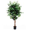 STABLO BENDZAMIN ZELENI  H - 160cm - 1