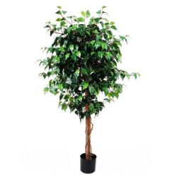 STABLO BENDZAMIN ZELENI  H - 160cm