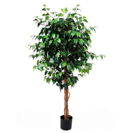STABLO BENDZAMIN ZELENI  H - 160cm