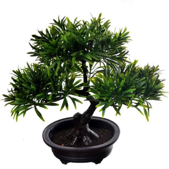 VESTACKI BONSAI  H - 26cm   sirina - 26cm