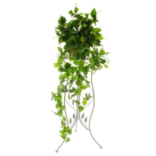 LOZICA SITNOLISNA  duzina-100cm  sirina - 38cm