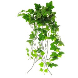 LOZICA HEDERA  duzina - 97cm  sirina - 42cm