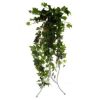 LOZICA SITNOLISNA HEDERA  duzina - 97cm  sirina - 42cm - 1
