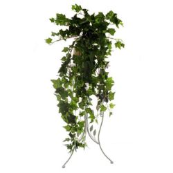LOZICA SITNOLISNA HEDERA  duzina - 97cm  sirina - 42cm